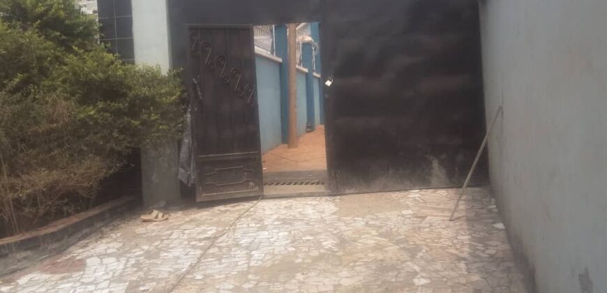 Duplex à vendre ,Yaoundé, 73 000 000 FCFA