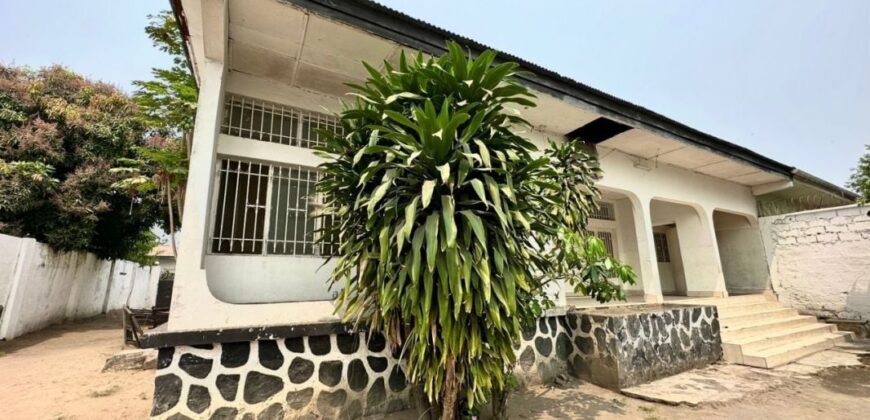 PROPERTY OF 739m² WITH A LARGE BUILDING WITH 4 BEDROOMS ON KINSHASA-NGALIEMA