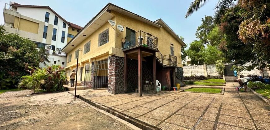 SALE: LARGE PROPERTY OF 1976m² WITH POSSIBILITY OF DIVISION ON KINSHASA-NGALIEMA (My campaign)