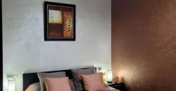 Nice furnished apartment for rent in Maarif