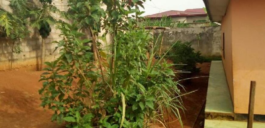 Maison à vendre, Yaoundé , 55 000 000 Fcfa