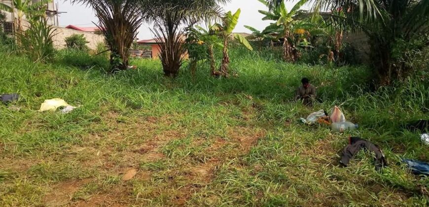 Maison à vendre, Yaoundé , 55 000 000 Fcfa