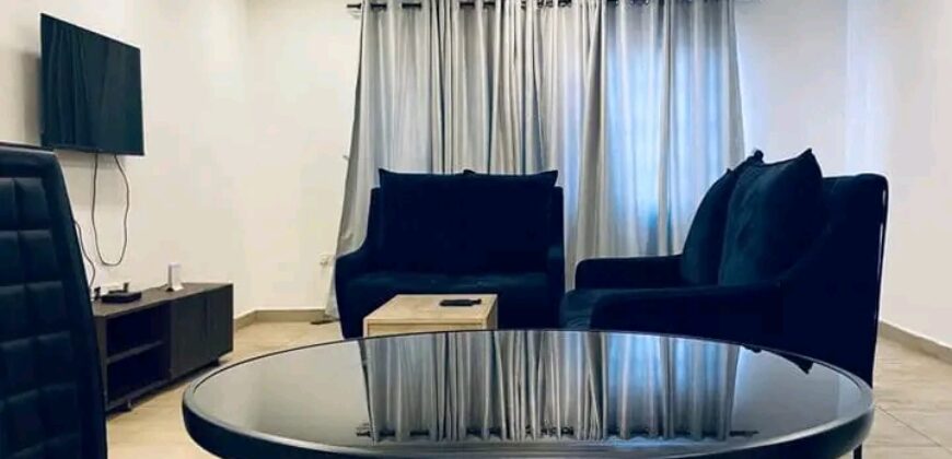 Luxurous 2Bedroom fully furnished apartment for rent @ East legon hill