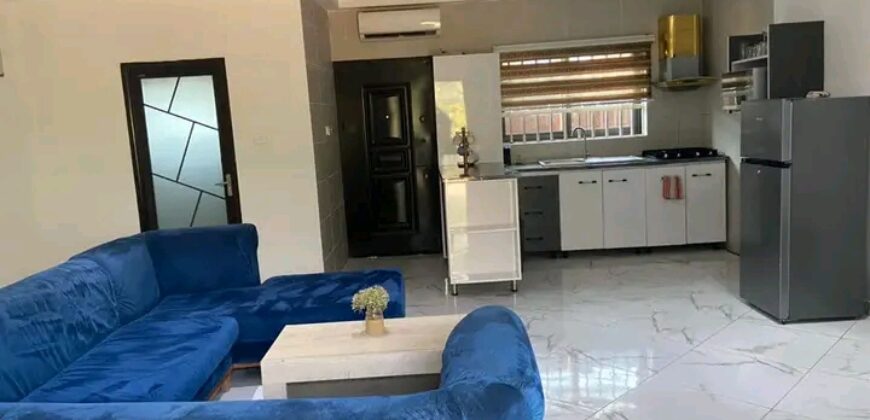 Luxurous 2Bedroom fully furnished apartment for rent @ East legon hill