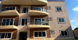 Exexutive ensuite 2 bedroom apartment for rent@ Adjringanor