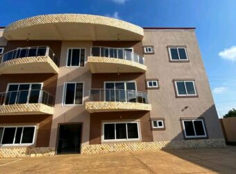 Exexutive ensuite 2 bedroom apartment for rent@ Adjringanor