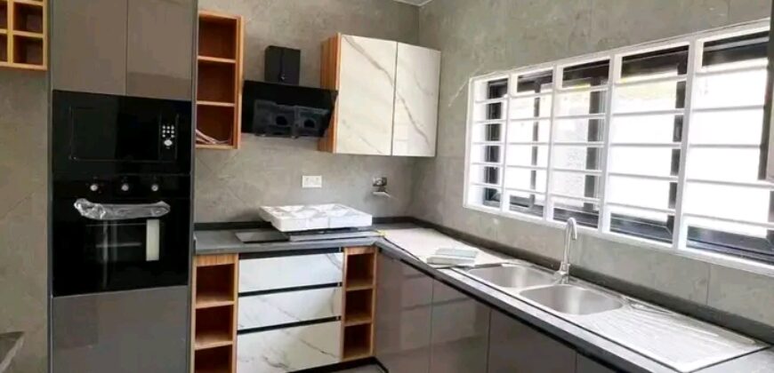 Exexutive 2Bedroom apartment for rent@ Adjringanor