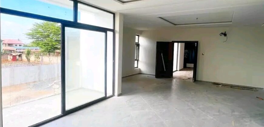 Exexutive 2Bedroom apartment for rent@ Adjringanor