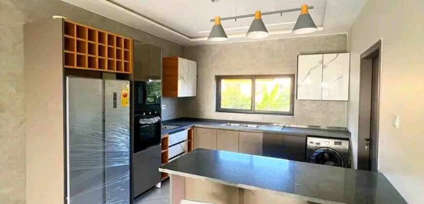 Exexutive 2Bedroom apartment for rent@ Adjringanor