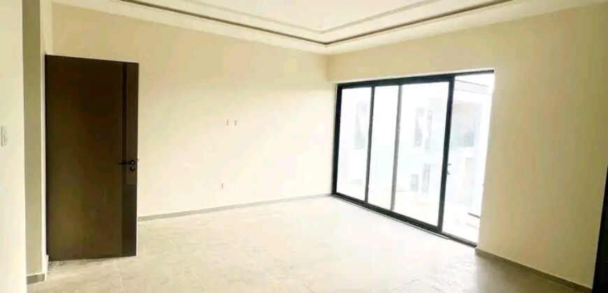 Exexutive 2Bedroom apartment for rent@ Adjringanor