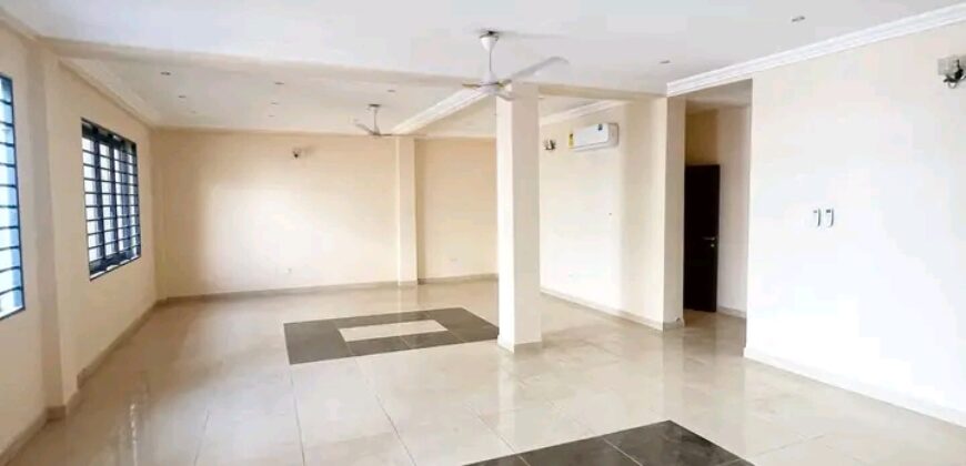 Exexutive 4Bedroom house for rent@ Adjringanor