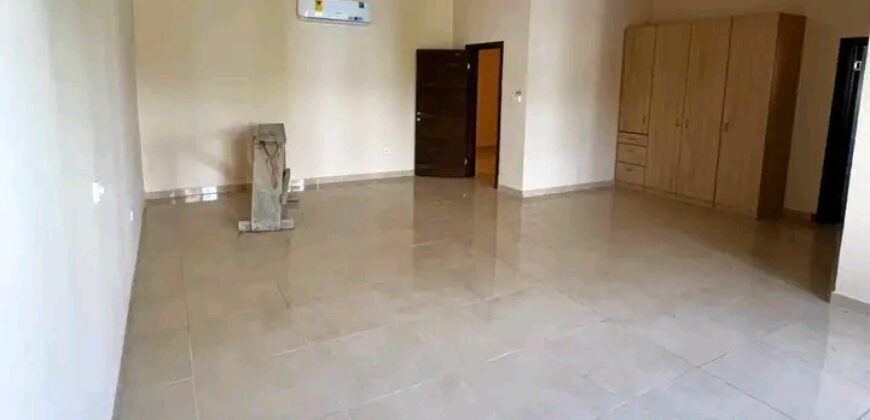 Exexutive 4Bedroom house for rent@ Adjringanor