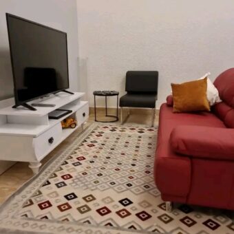 Luxurous 1 Bedroom furnished apartment for short term @ Adjringanor