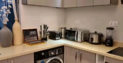 Luxurous 1 Bedroom furnished apartment for short term @ Adjringanor