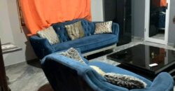 Furnished 1bedroon apartment@ dzorwulu