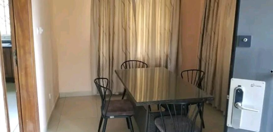 Furnished 2Bedroom apartment@adjringanor