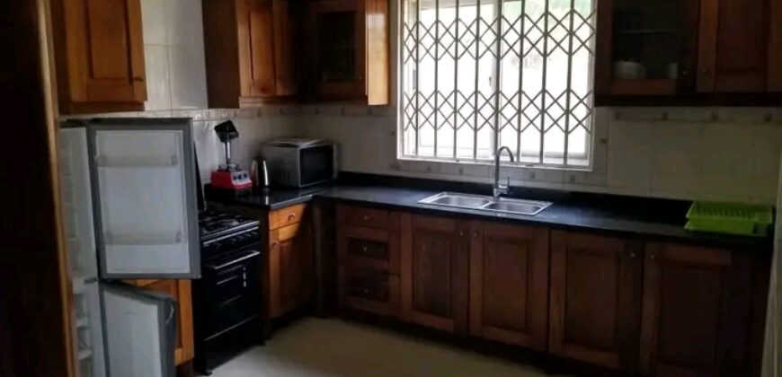 Furnished 2Bedroom apartment@adjringanor