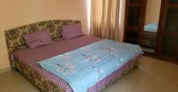 Furnished 2Bedroom apartment@adjringanor