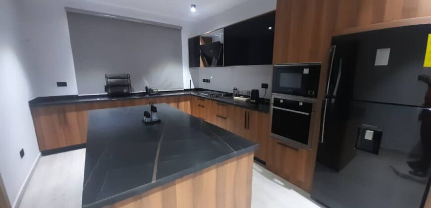 EXECUTIVE NEWLY BUILT 3BEDROOM FULLY FURNISHED AND UNFURNISHED APARTMENT FOR RENT AT TSE-ADDO