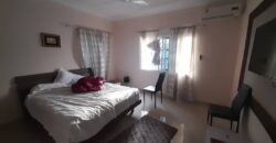 EXECUTIVE 4BEDROOM FULLY FURNISHED HOUSE FOR RENT AT WEST LEGON- WEST LAND