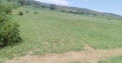 Affordable Land For Sale At Moi Ndabi Center, along Moi South Lake Road (Kenya)