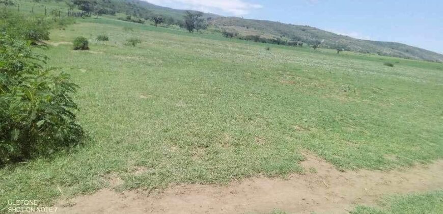 Affordable Land For Sale At Moi Ndabi Center, along Moi South Lake Road (Kenya)