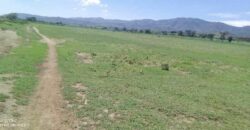 Affordable Land For Sale At Moi Ndabi Center, along Moi South Lake Road (Kenya)