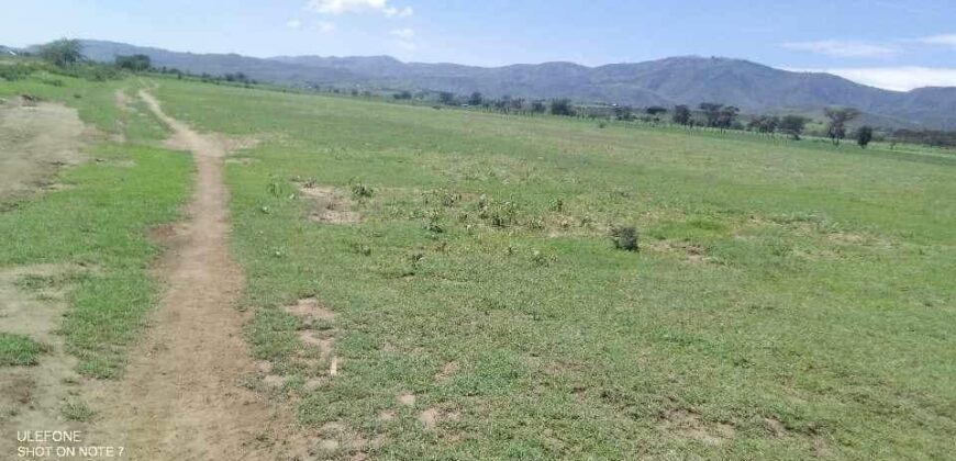 Affordable Land For Sale At Moi Ndabi Center, along Moi South Lake Road (Kenya)