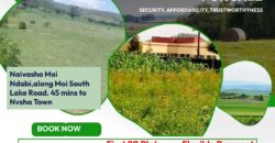 Affordable Land For Sale At Moi Ndabi Center, along Moi South Lake Road (Kenya)