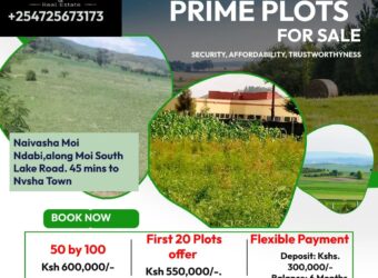 Affordable Land For Sale At Moi Ndabi Center, along Moi South Lake Road (Kenya)