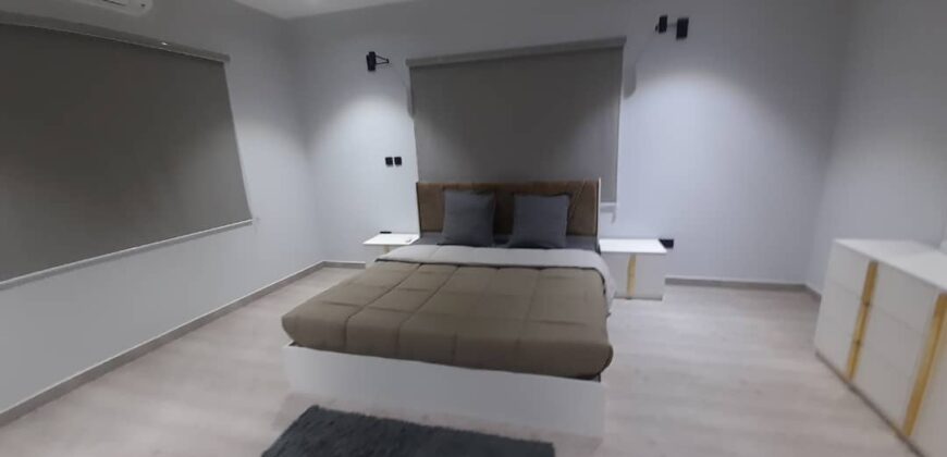 EXECUTIVE NEWLY BUILT 3BEDROOM FULLY FURNISHED AND UNFURNISHED APARTMENT FOR RENT AT TSE-ADDO