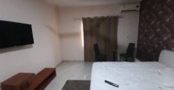 EXECUTIVE 4BEDROOM FULLY FURNISHED HOUSE FOR RENT AT WEST LEGON- WEST LAND