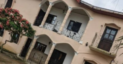 Duplex à vendre à Douala Japoma (Verx Château Nyalla) a 65000000 FCFA