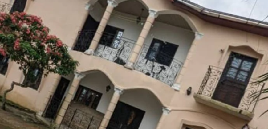 Duplex à vendre à Douala Japoma (Verx Château Nyalla) a 65000000 FCFA