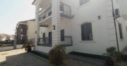 THE RESPLENDENT RESIDE OF A 4 BEDROOM DUPLEX HOUSE FOR RENT AT NIGERIA (ASOKORO ABUJA