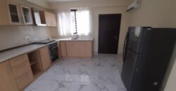 EXECUTIVE 2BEDROOM WITH 1WASHROOM APARTMENT FOR RENT AT TSE-ADDO.