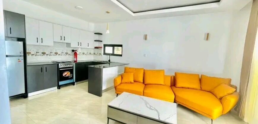 THE STELLAR SKY SUITS OF A 2BWDROOM APARTMENT FOR RENT AT RWANDA-KIMIRONKO