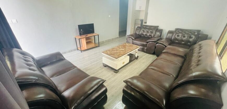 THE STELLAR SKY SUITS OF A 2BEDROOM APARTMENT FOR RENT AT RWANDA-KIMIRONKO