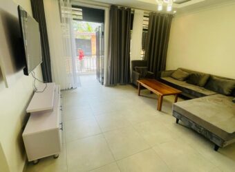 A FUTURISTIC FLATS OF A BIG 2BEDROOM APARTMENT FOR RENT AT RWANDA-KIMIRONKO