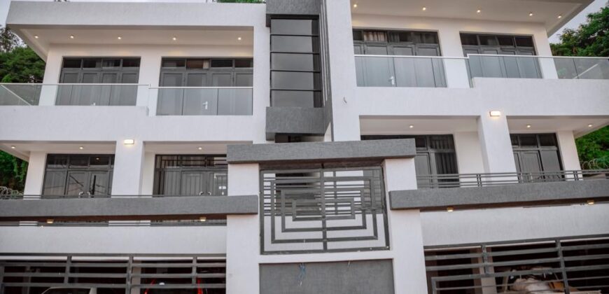 THE ARTFUL ABODE OF A 1 BIG BEDROOM APARTMENT FOR RENT AT RWANDA-GACURIRO