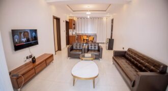 THE ARTFUL ABODE OF A 1 BIG BEDROOM APARTMENT FOR RENT AT RWANDA-GACURIRO