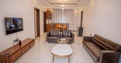 THE ARTFUL ABODE OF A 1 BIG BEDROOM APARTMENT FOR RENT AT RWANDA-GACURIRO