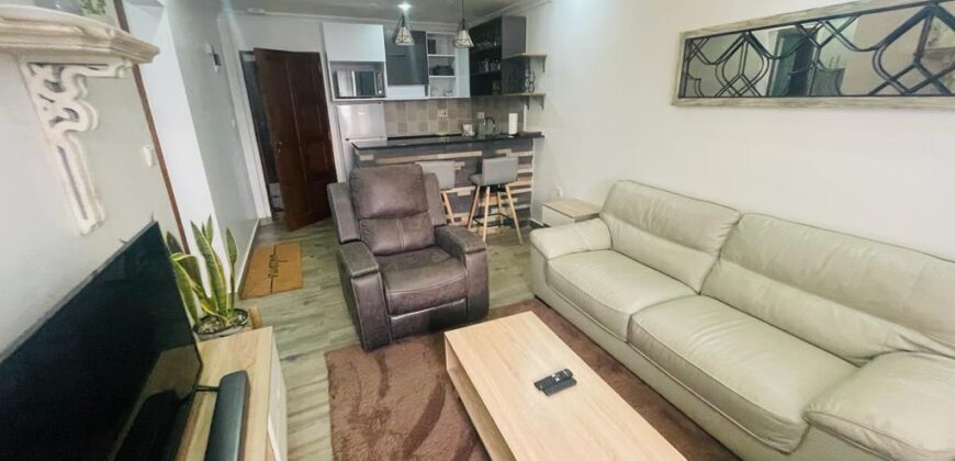 A STYLISH ONE BIG BEDROOM APARTMENT FOR RENT AT RWANDA-GACURIRO