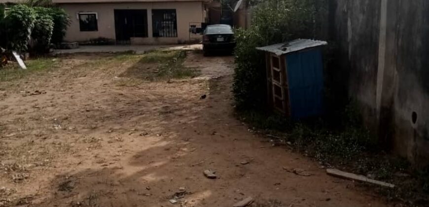 3 BEDROOM FLATS UP & DOWN FOR 40,000,000 NAIRA