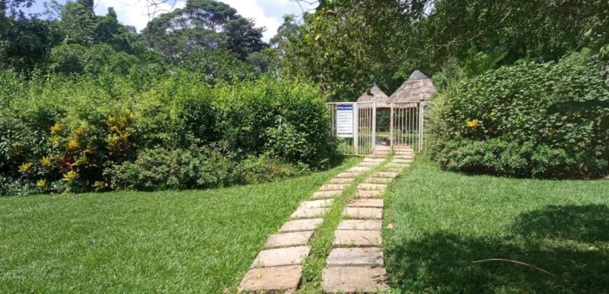 A RESORTS HOTEL FOR SALE AT UGANDA -MUKONO