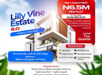 LAND AT LILY VINE 2 ESTATE FOR 6,500,000 NAIRA PER PLOT