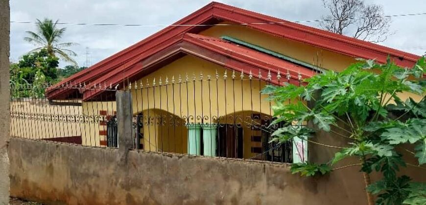 VILLA DE RÊVE À VENDRE À YAOUNDÉ MESSASI :  – PRIX: 30000000 FRANC CEFA