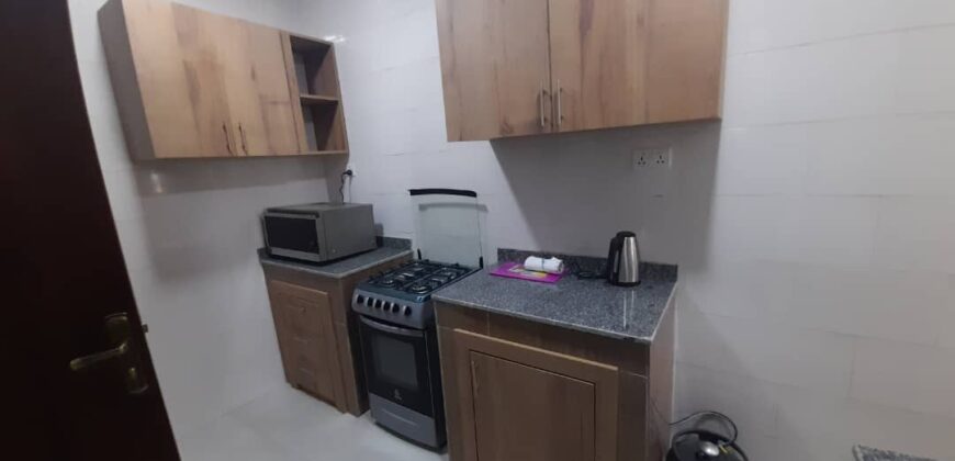 1, 2 AND 3BEDROOM FULLY FURNISHED APARTMENT FOR RENT AT EAST LEGON ADJIRIGANOR.