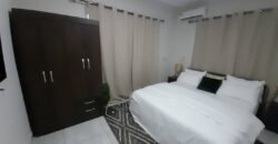 2BEDROOM FULLY FURNISHED APARTMENT FOR RENT AT TSE-ADDO COMMUNITY