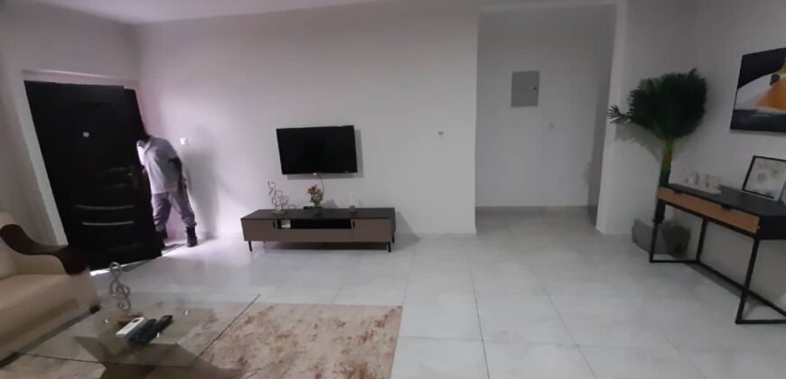 2BEDROOM FULLY FURNISHED APARTMENT FOR RENT AT TSE-ADDO COMMUNITY